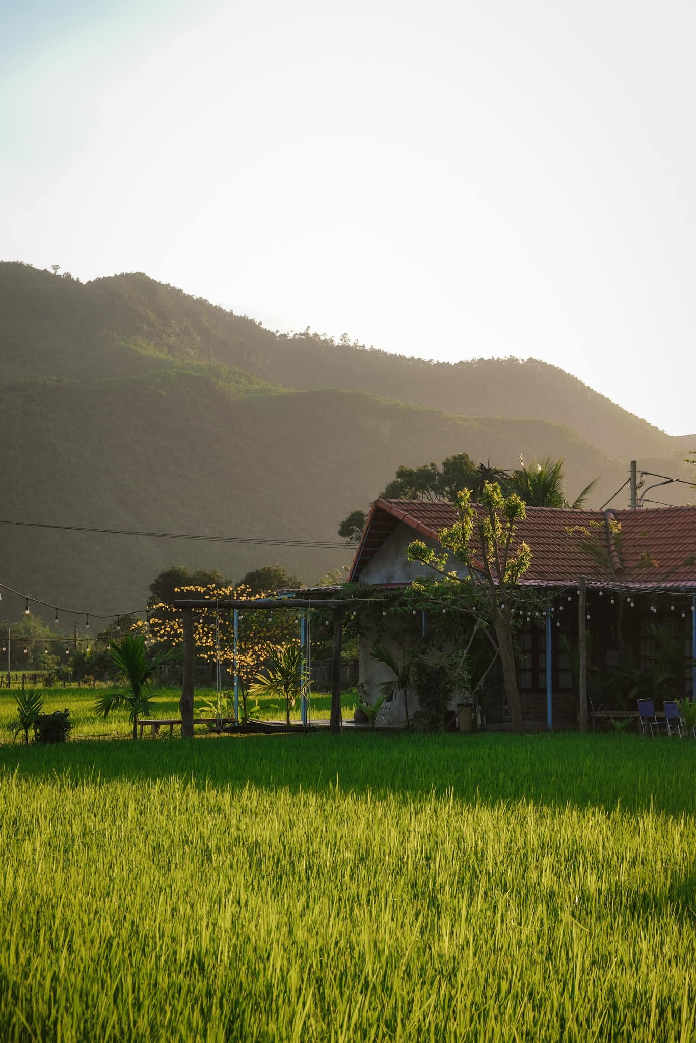 Lúa Coffee House